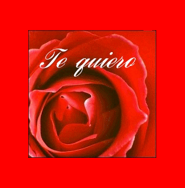 te amo