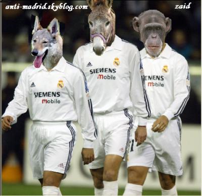 real mierda