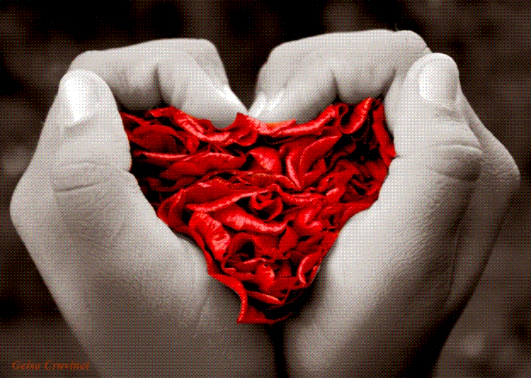corazon de flores